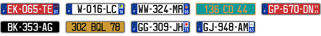 License plate recognition examples of France